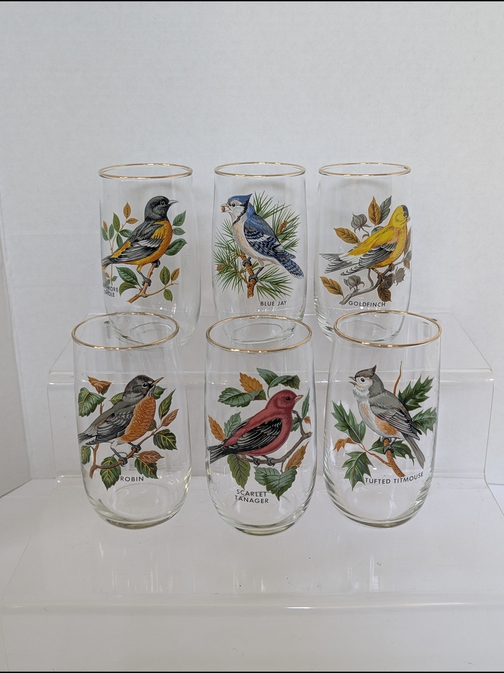 Vtg West Virginia Glass Company Gold Rim American Song Bird Glasses MCM Set Of 6